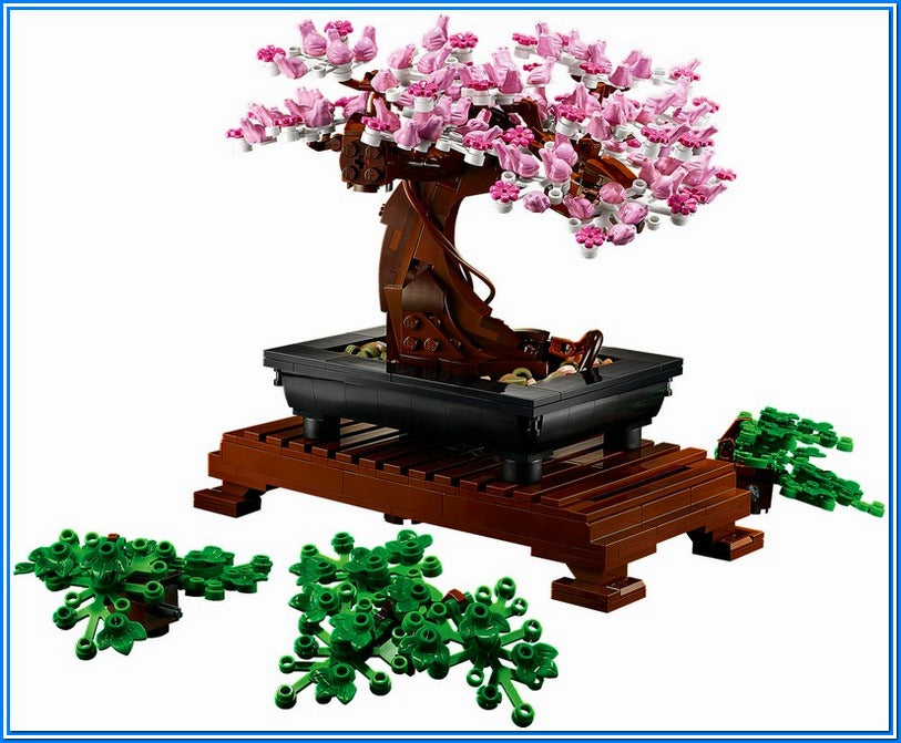 Albero Bonsai