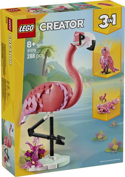 Animali Selvatici: Fenicottero Rosa