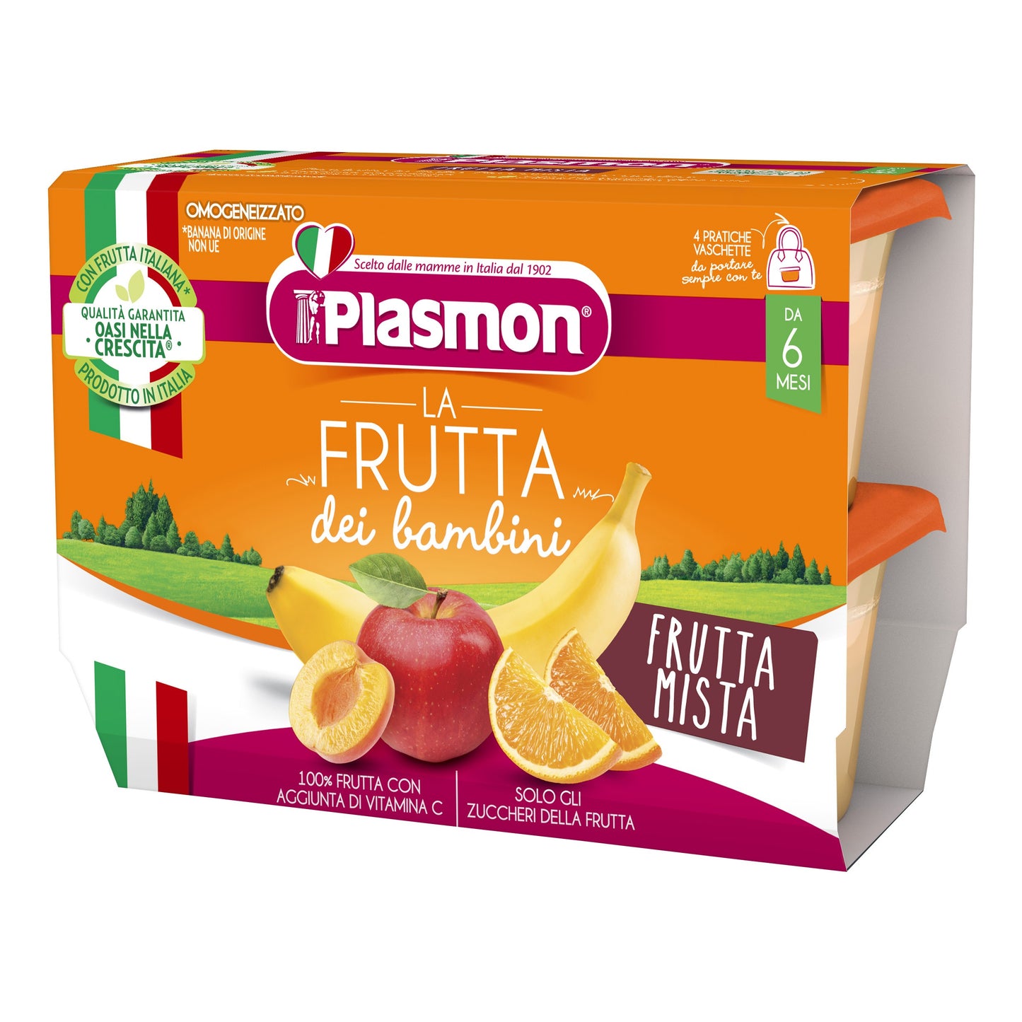 SAPORI DI NATURA FRUTTA MISTA 4PZ 100GR PLASMON