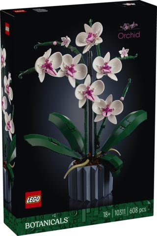 Orchidea