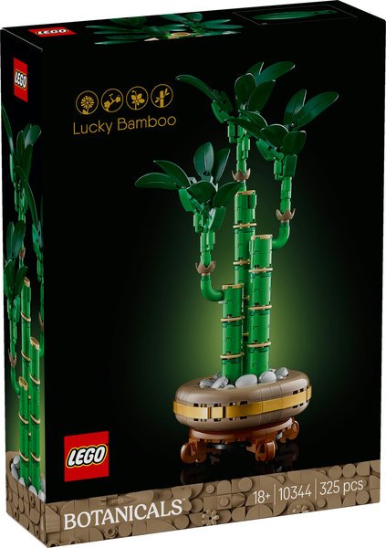 Bambu' del Buon Auspicio
