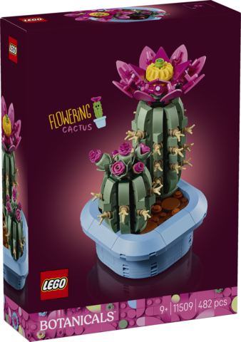 Cactus in Fiore