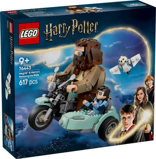 Giro Sul Sidecar di Hagrid e Harry