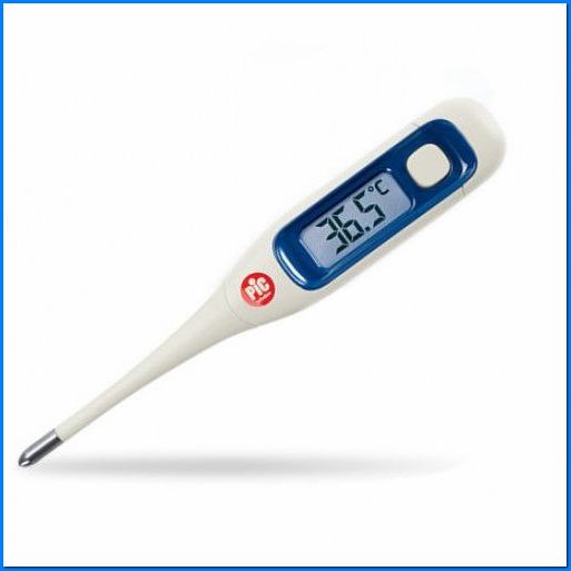 Termometro Digitale Vedoclear Z