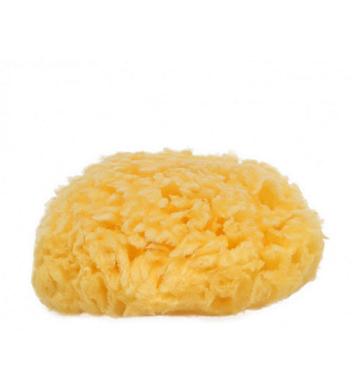 Spugna 9/10CM
