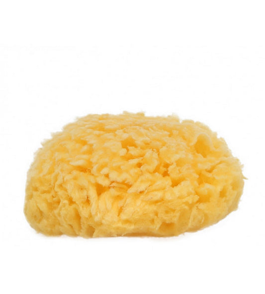 Spugna 9/10CM