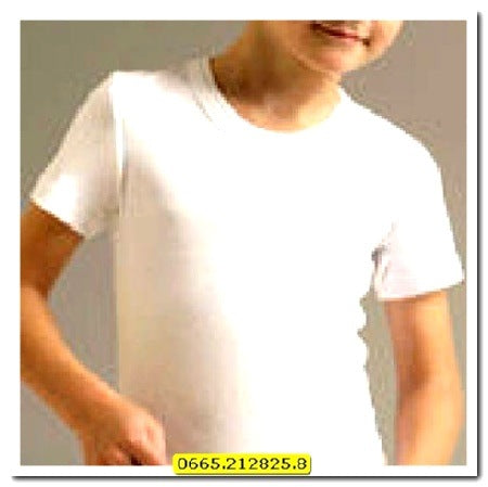 Corpo M/m Tg 8 - Pz. 3